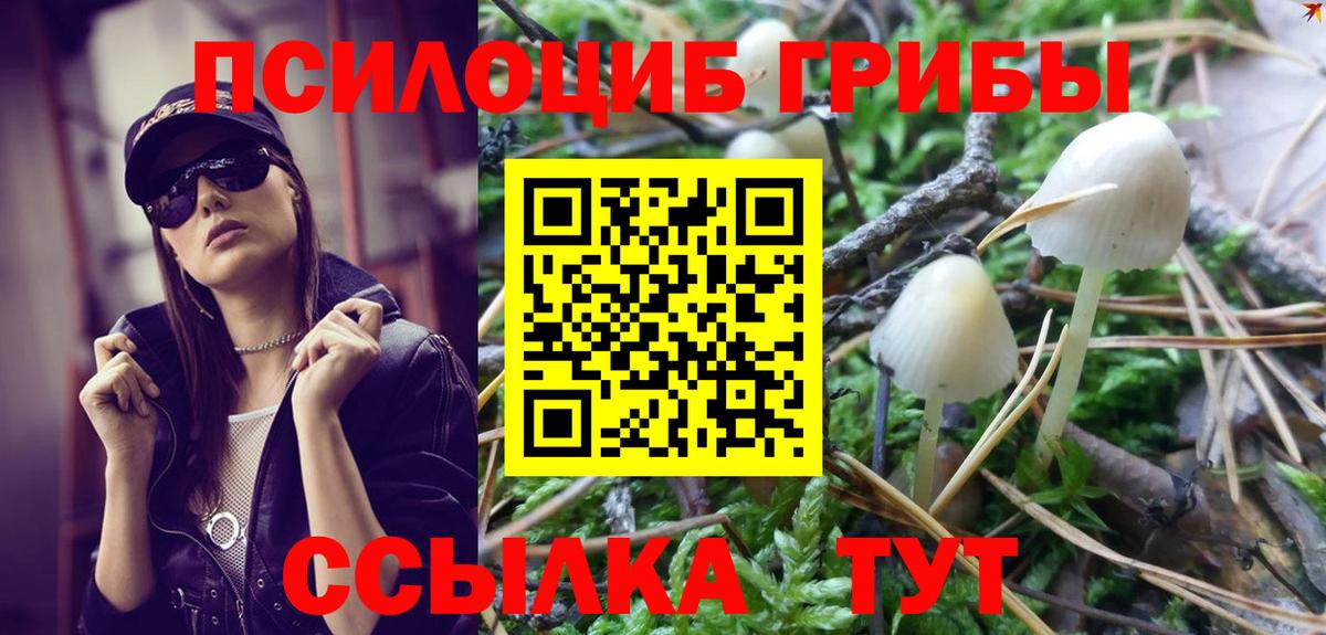 Псилоцибиновые грибы Psilocybe  Вход с VPN  Калач-на-Дону 